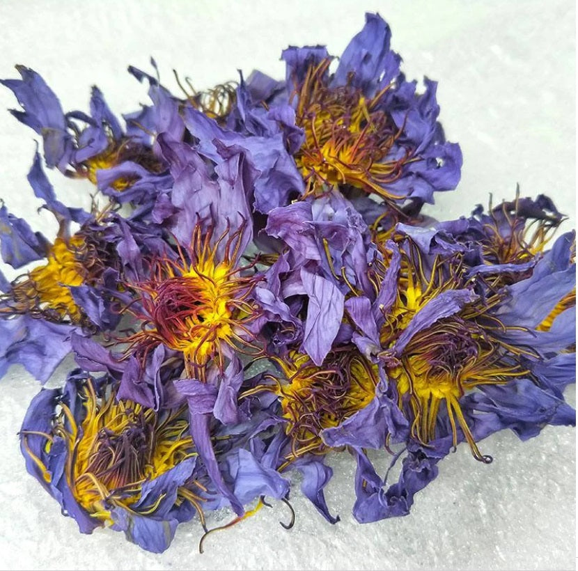 100g., 500g., 1000g.,Thai Dried Blue lotus flower ,Egyptian blue lotus, Nymphaea caerulea, blue lotus bulk