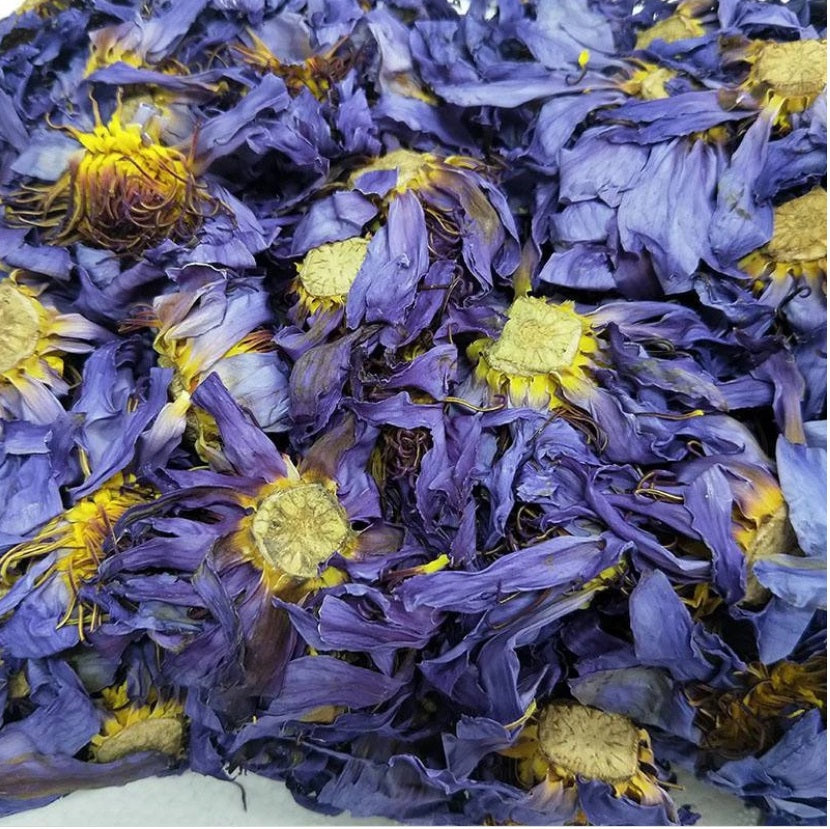 100g., 500g., 1000g.,Thai Dried Blue lotus flower ,Egyptian blue lotus, Nymphaea caerulea, blue lotus bulk