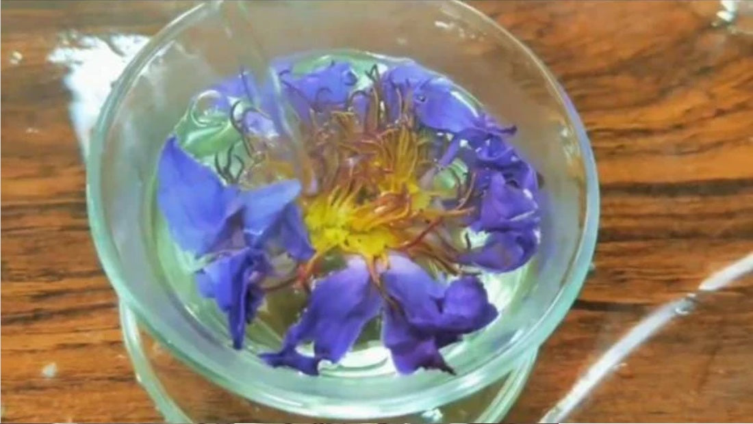 100g., 500g., 1000g.,Thai Dried Blue lotus flower ,Egyptian blue lotus, Nymphaea caerulea, blue lotus bulk