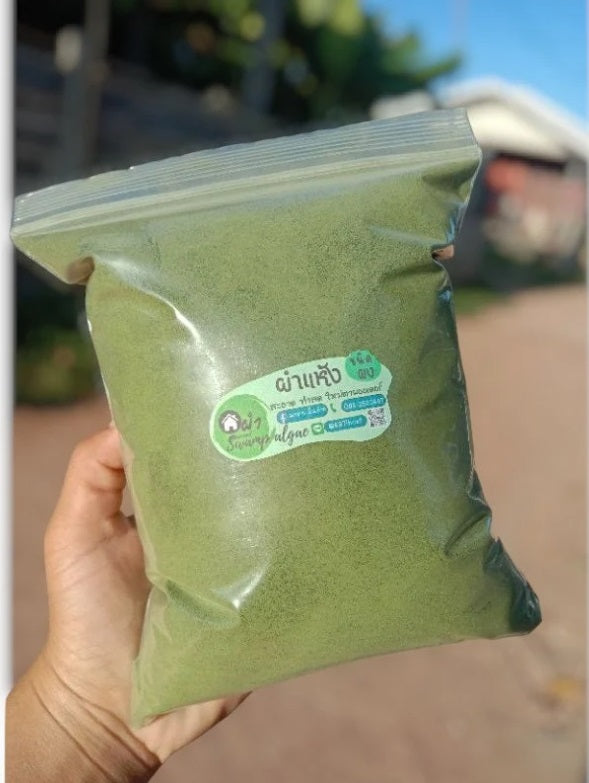 1000 g. Dried Wolffia, Dried Wolffia Globosa, Dried Swamp Algae, Specially selected Grade A