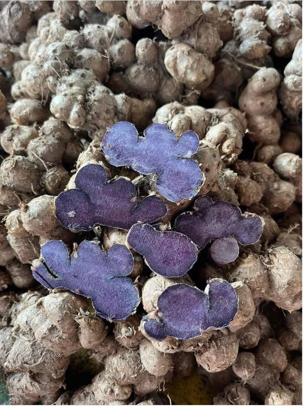 1Kg,Thai Dried Black Ginger Black Galingale Kaempferia Parviflora,Krachai dam, Specially selected Grade A
