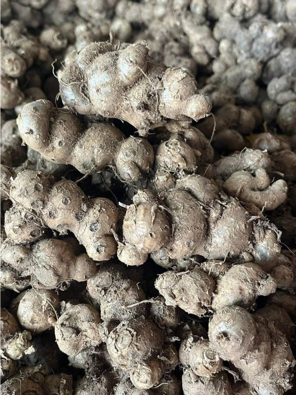 1Kg,Thai Dried Powder Black Ginger Black Galingale Kaempferia Parviflora, krachai dam, Specially selected Grade A