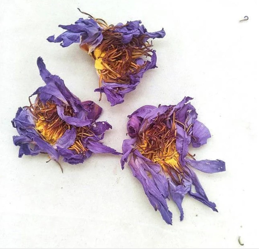 100g., 500g., 1000g.,Thai Dried Blue lotus flower ,Egyptian blue lotus, Nymphaea caerulea, blue lotus bulk