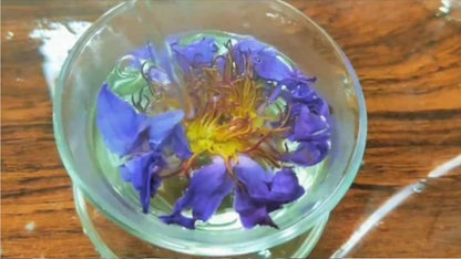 100g., 500g., 1000g.,Thai Dried Blue lotus flower ,Egyptian blue lotus, Nymphaea caerulea, blue lotus bulk