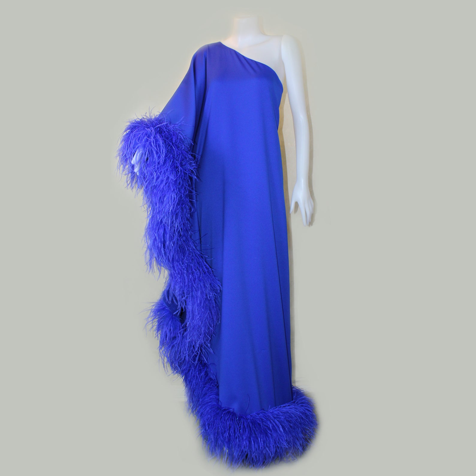 Royal Blue One-Shoulder Maxi Dress 10 US Women's Numeric / 5 Feet 9