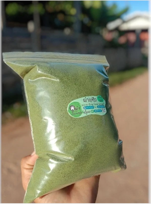 1000 g. Dried Wolffia, Dried Wolffia Globosa, Dried Swamp Algae, Specially selected Grade A