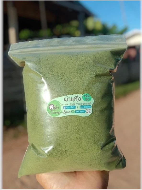 1000 g. Dried Wolffia, Dried Wolffia Globosa, Dried Swamp Algae, Specially selected Grade A