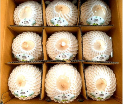 300 cartons. Wholesale Fresh Young Coconut, Premium Diamond Tropical Shell Style Color,  High Quality from Thailand,