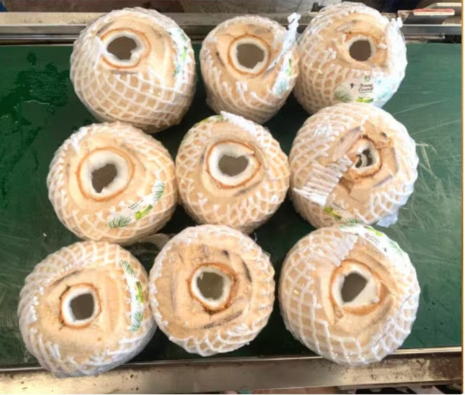 300 cartons. Wholesale Fresh Young Coconut, Premium Diamond Tropical Shell Style Color,  High Quality from Thailand,