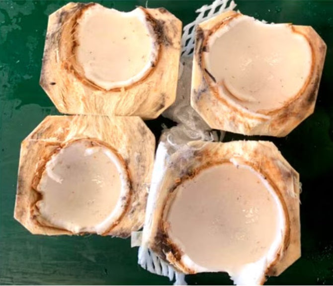 300 cartons. Wholesale Fresh Young Coconut, Premium Diamond Tropical Shell Style Color,  High Quality from Thailand,