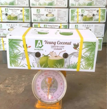 300 cartons. Wholesale Fresh Young Coconut, Premium Diamond Tropical Shell Style Color,  High Quality from Thailand,