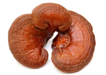 1000 g. Reishi Mushroom Powder • Lingzhi Mushroom Powder • Ganoderma lucidum • Dried Mushrooms • No Additives or Preservatives (Copy)