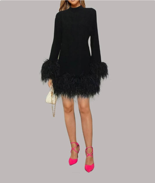 MARAYA Long sleeve High Neck Feather mini dress