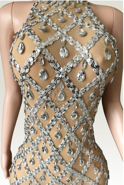 Silver Long sleeveless dress with sparkling rhinestones