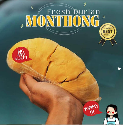 500g.x480boxes, Wholesale Fresh Durian Sweet test, Thai Durian Premium Grade Selected, 100% Natural Premium Quality Durian From Thailand