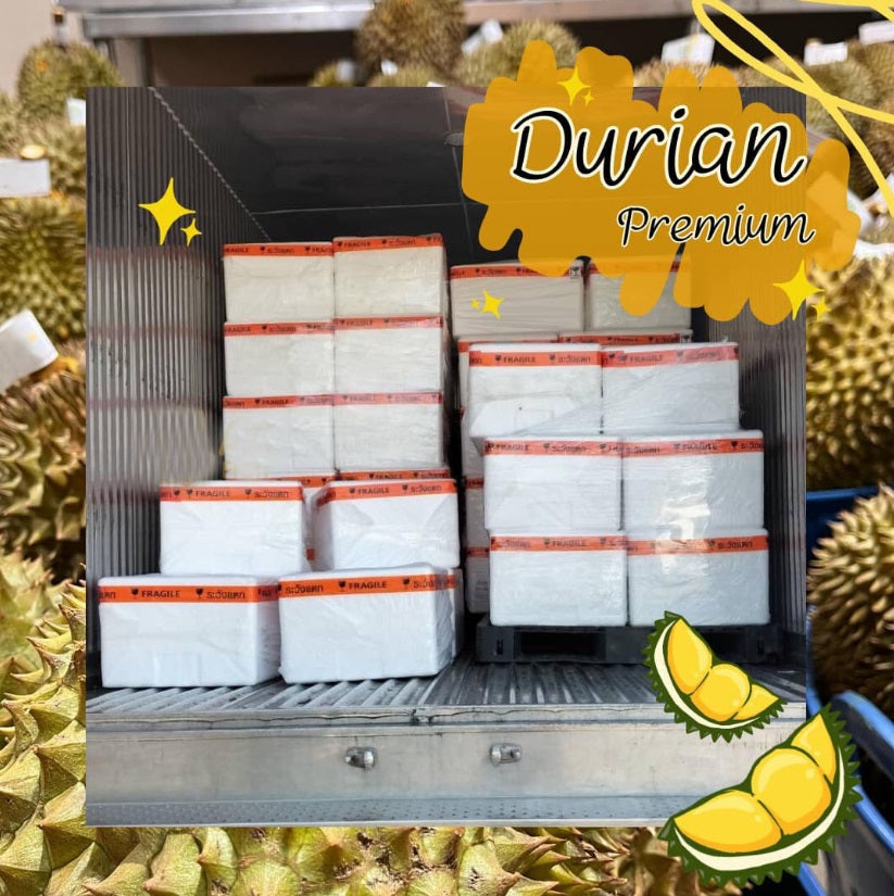 500g.x480boxes, Wholesale Fresh Durian Sweet test, Thai Durian Premium Grade Selected, 100% Natural Premium Quality Durian From Thailand