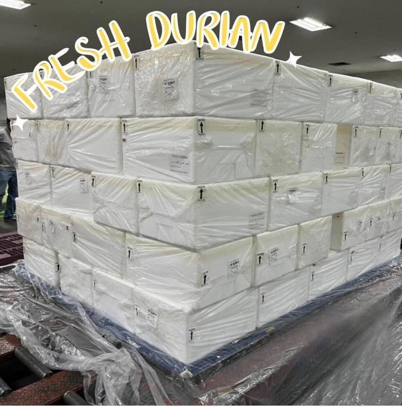 500g.x480boxes, Wholesale Fresh Durian Sweet test, Thai Durian Premium Grade Selected, 100% Natural Premium Quality Durian From Thailand