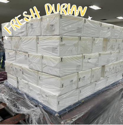 500g.x480boxes, Wholesale Fresh Durian Sweet test, Thai Durian Premium Grade Selected, 100% Natural Premium Quality Durian From Thailand