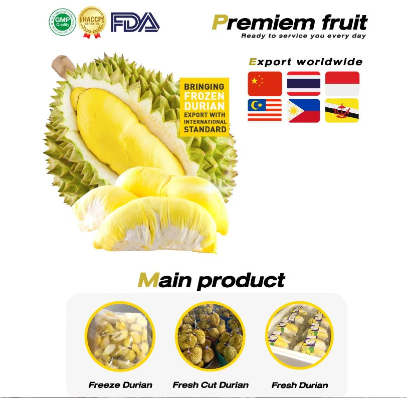 500g.x480boxes, Wholesale Fresh Durian Sweet test, Thai Durian Premium Grade Selected, 100% Natural Premium Quality Durian From Thailand