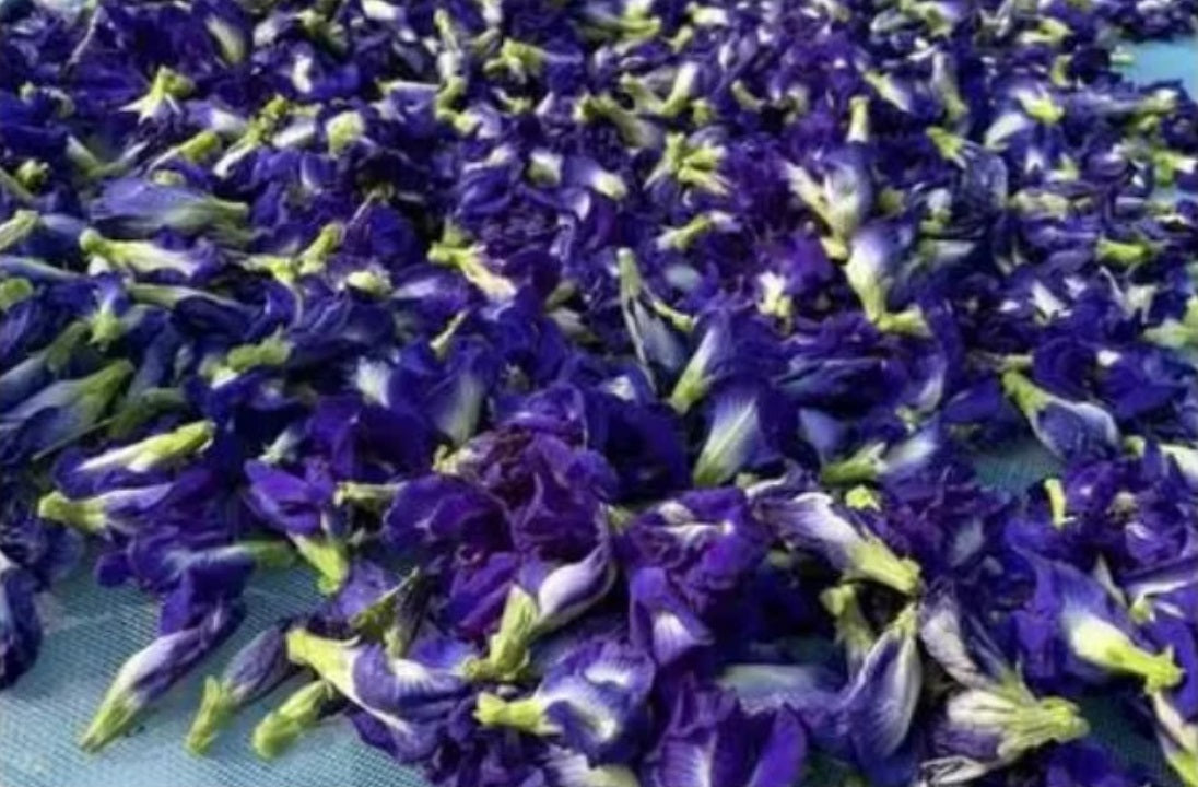 250, 500, 1000g.Thai dried Butterfly Pea flower, Clitoria ternatea , blue pea flower, pea flower