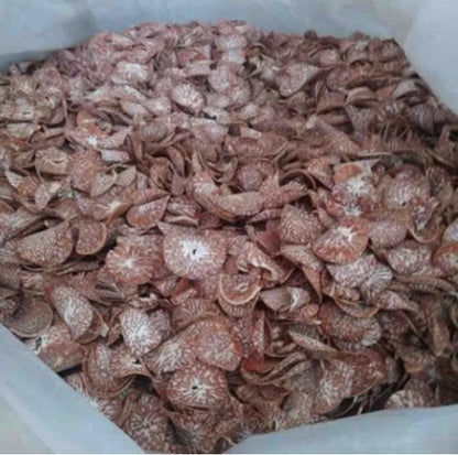 1 Kg, Thai Sliced Dried Nreca Nut