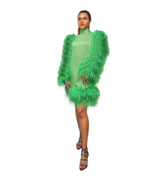 NIRVANA (Extra Feather) feather around Long Sleeves custom dress