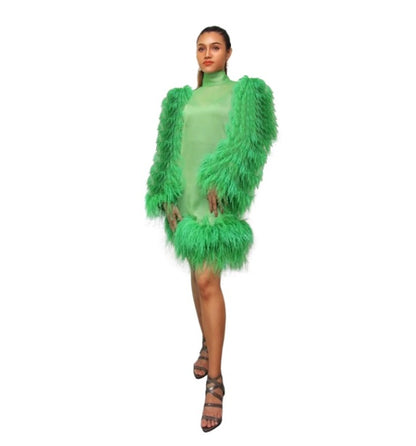 NIRVANA (Extra Feather) feather around Long Sleeves custom dress